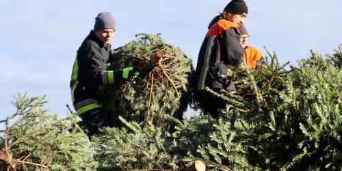 Die Jugendfeuerwehrler packten kräftig an.