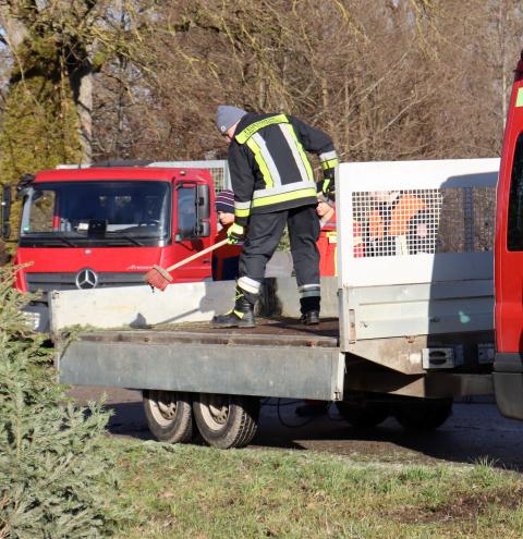 Mit drei Gespannen wurden die Bäume eingesammelt